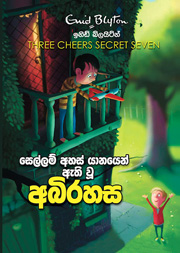 සෙල්ලම් අහස් යානයෙන් ඇති වූ අබිරහස