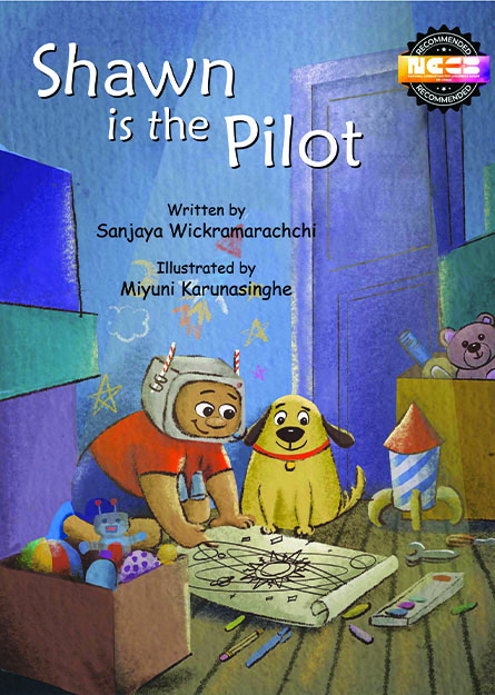 Shawn Is The Pilot