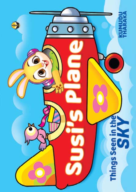 Susi's Plane
